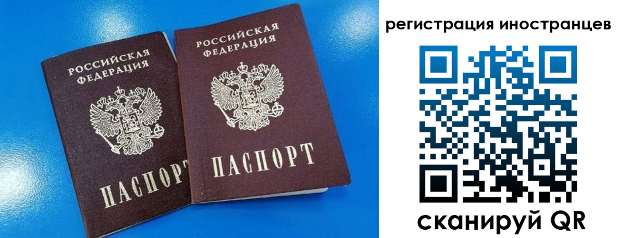 временная регистрация поиск в Белой Калитве